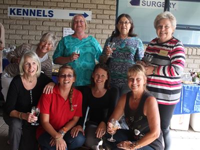 1 291 dogs sterilised